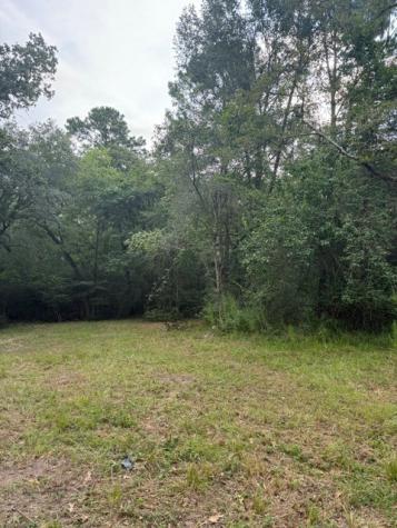 25571 Kimbro Road Hockley TX 77447