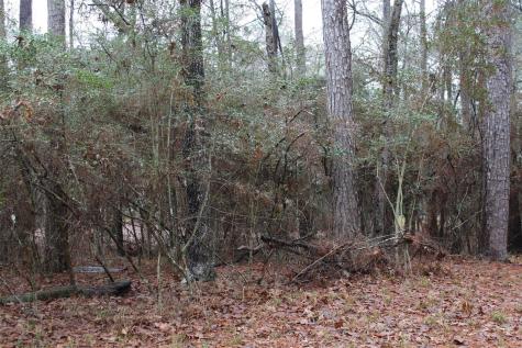 Lot 6 Magnolia Court Trinity TX 75862
