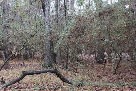 Lot 6 Magnolia Court Trinity TX 75862