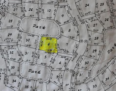 Lot 6 Magnolia Court Trinity TX 75862