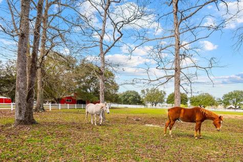 Lot 88 Lakeland Loop Hillister TX 77624