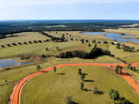 Lot 88 Lakeland Loop Hillister TX 77624
