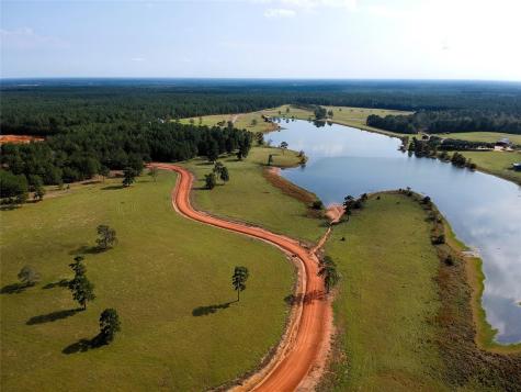 Lot 88 Lakeland Loop Hillister TX 77624