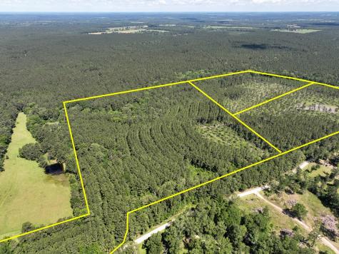38 Groveton Flat Prairie Road Groveton TX 75854