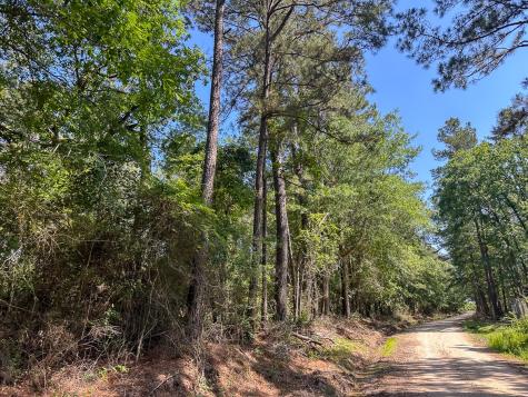 38 Groveton Flat Prairie Road Groveton TX 75854
