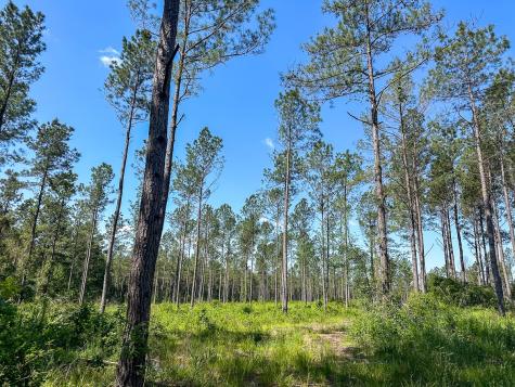 38 Groveton Flat Prairie Road Groveton TX 75854