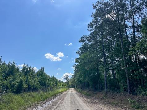 38 Groveton Flat Prairie Road Groveton TX 75854