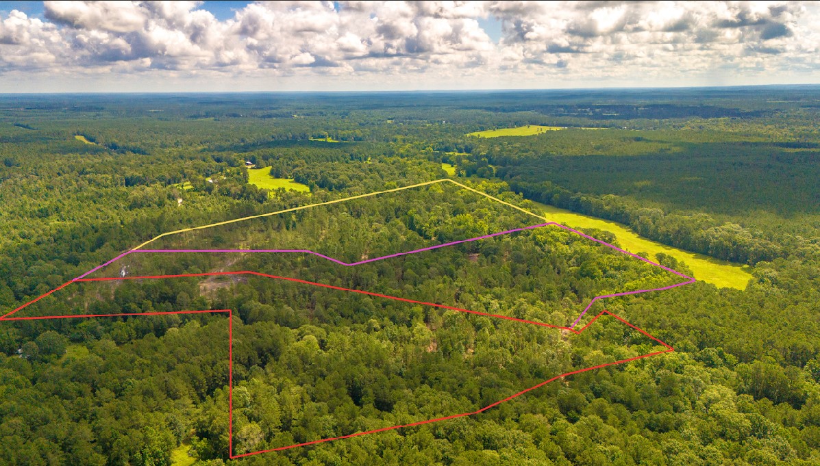 Tbd Lot 001 Holland Road Moscow TX 75960