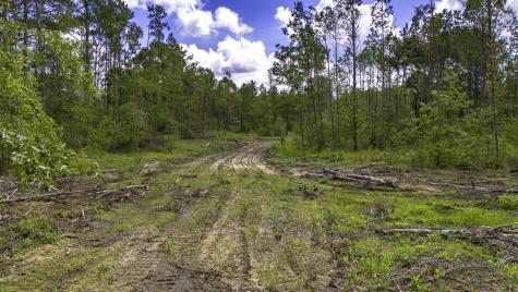 Tbd Lot 001 Holland Road Moscow TX 75960