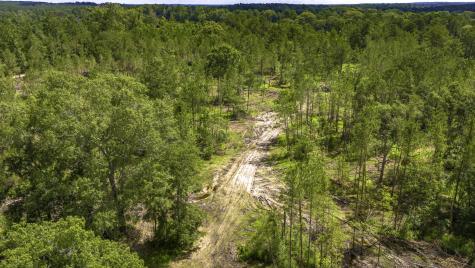 Tbd Lot 001 Holland Road Moscow TX 75960