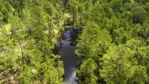 Tbd Lot 001 Holland Road Moscow TX 75960