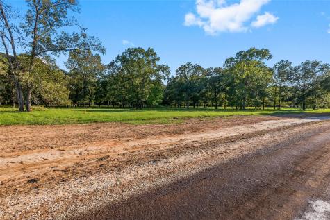 6070 Alans Memorial Lane New Waverly TX 77358
