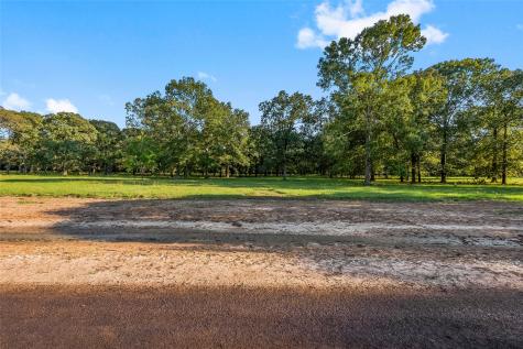 6070 Alans Memorial Lane New Waverly TX 77358