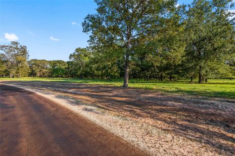 6070 Alans Memorial Lane New Waverly TX 77358