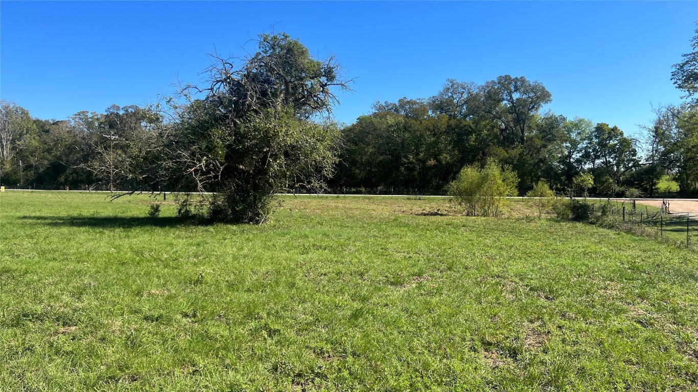 Lot 4 Cr 319 Navasota TX 77868