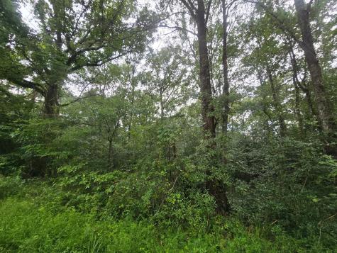134 Road 3774 Cleveland TX 77327