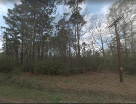 0 Chris Brent Drive Livingston TX 77351