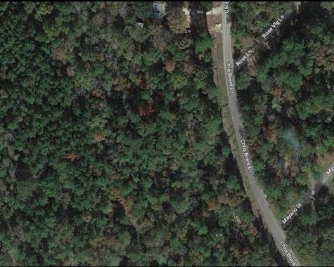 0 Chris Brent Drive Livingston TX 77351