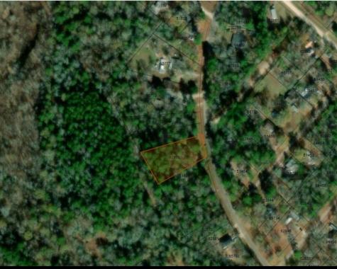 0 Chris Brent Drive Livingston TX 77351