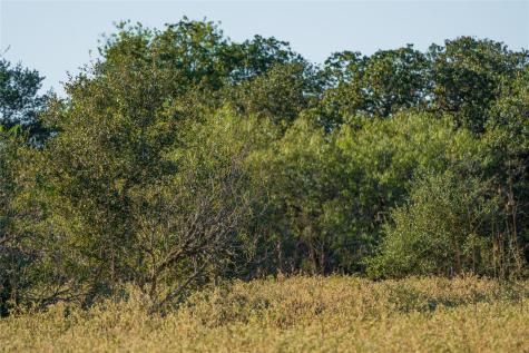 0 County Road 1 Edna TX 77957