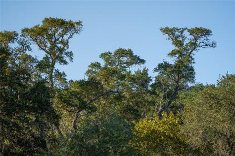 0 County Road 1 Edna TX 77957