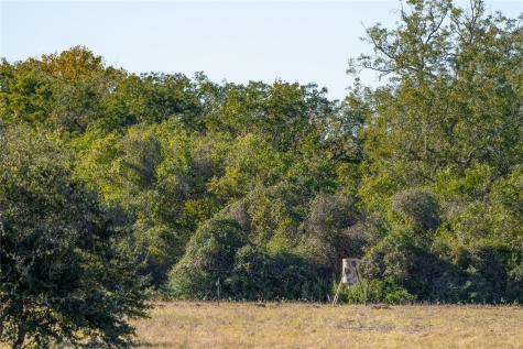 0 County Road 1 Edna TX 77957