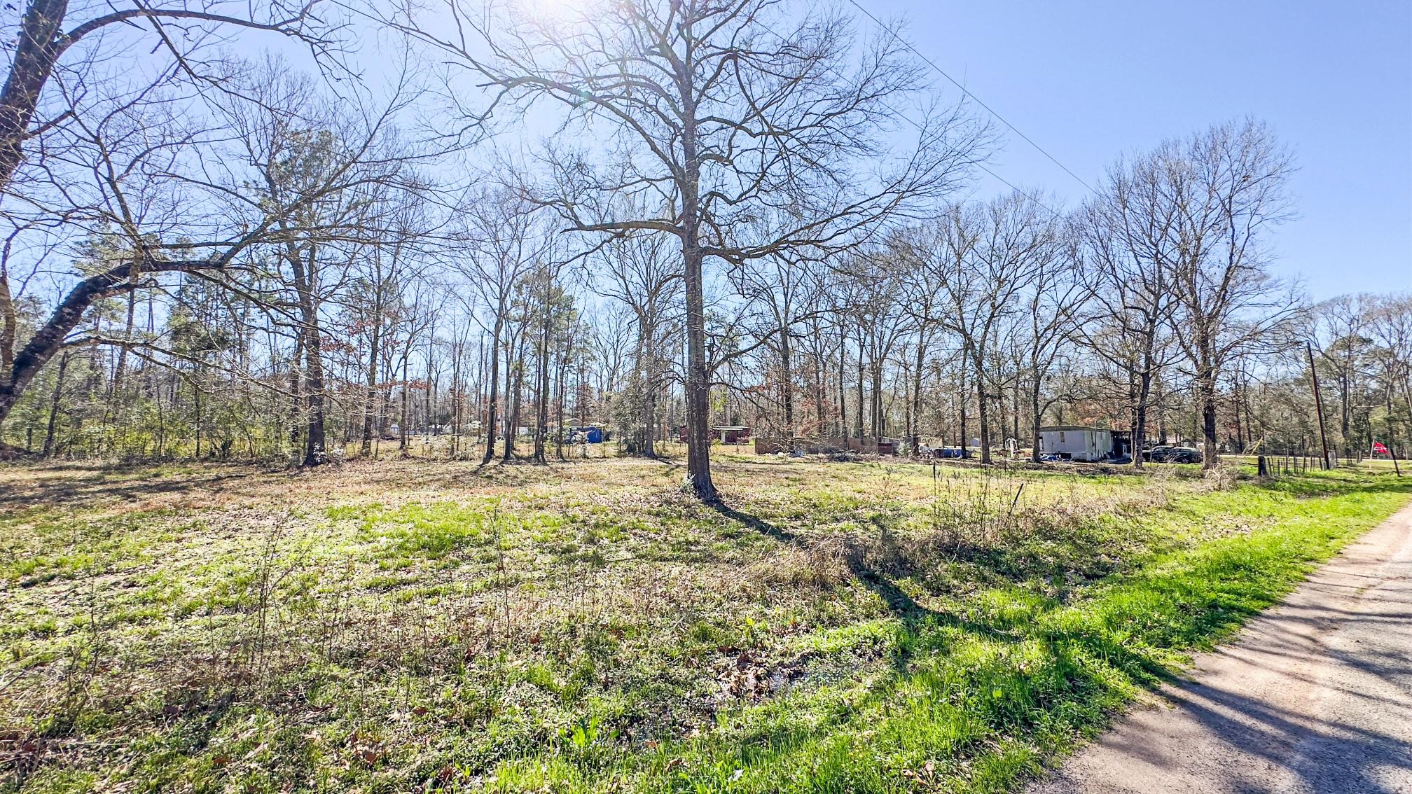 Tbd Dotty Creek Street Coldspring TX 77331