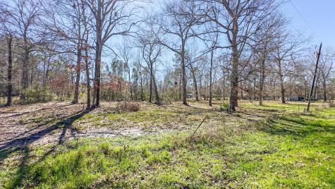 Tbd Dotty Creek Street Coldspring TX 77331