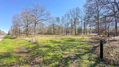 Tbd Dotty Creek Street Coldspring TX 77331