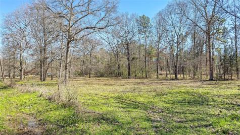 Tbd Dotty Creek Street Coldspring TX 77331