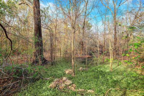 22648 Ford Road Porter TX 77365