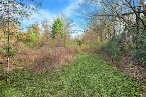 22648 Ford Road Porter TX 77365