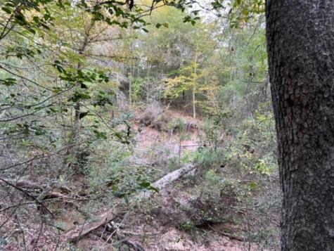 290 Red Hollow Livingston TX 77351
