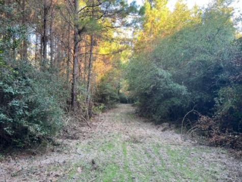 290 Red Hollow Livingston TX 77351
