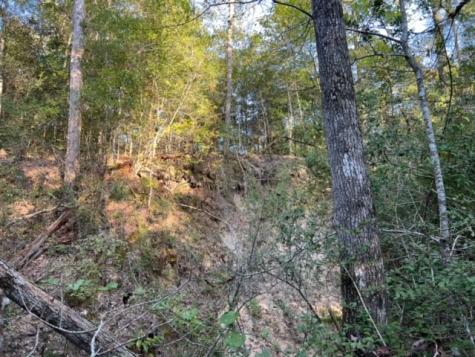 290 Red Hollow Livingston TX 77351