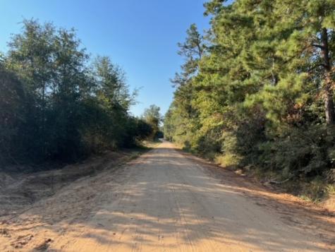 290 Red Hollow Livingston TX 77351