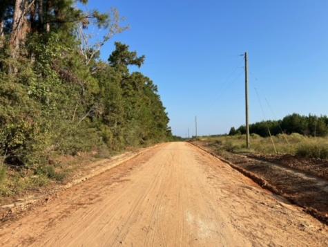 290 Red Hollow Livingston TX 77351