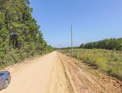 290 Red Hollow Livingston TX 77351