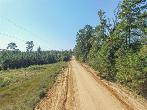 290 Red Hollow Livingston TX 77351