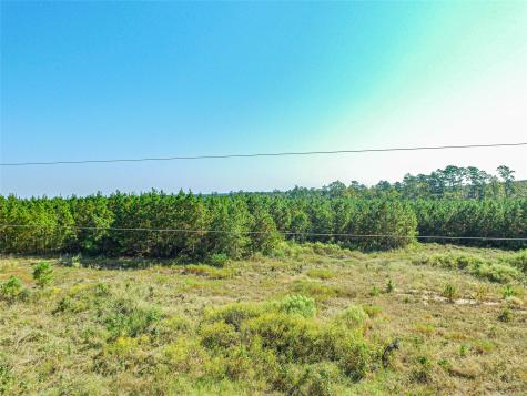 290 Red Hollow Livingston TX 77351