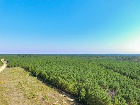 290 Red Hollow Livingston TX 77351