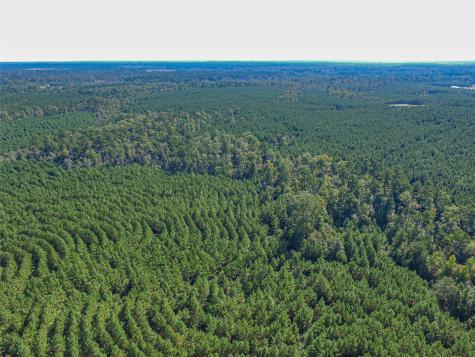 290 Red Hollow Livingston TX 77351