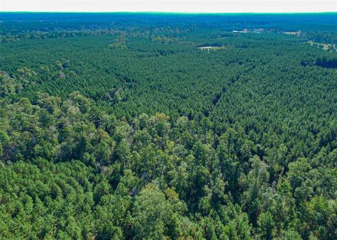 290 Red Hollow Livingston TX 77351