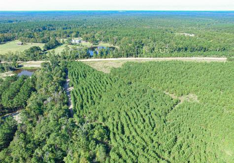 290 Red Hollow Livingston TX 77351