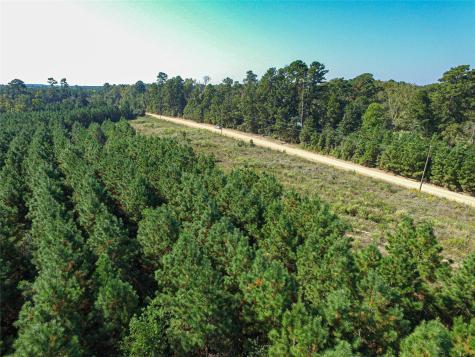 290 Red Hollow Livingston TX 77351