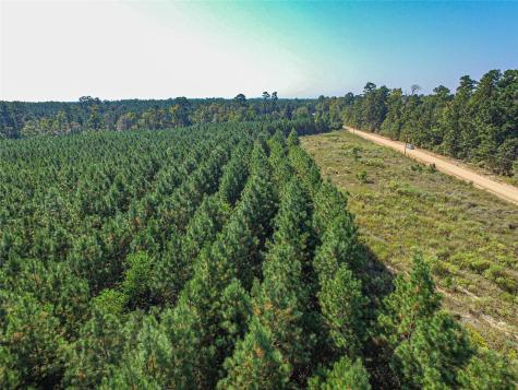 290 Red Hollow Livingston TX 77351