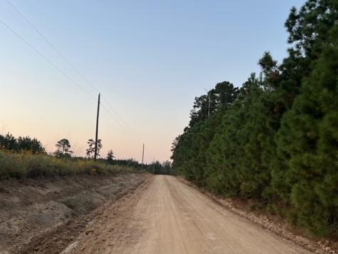 290 Red Hollow Livingston TX 77351