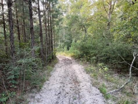 290 Red Hollow Livingston TX 77351