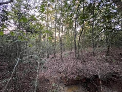 290 Red Hollow Livingston TX 77351