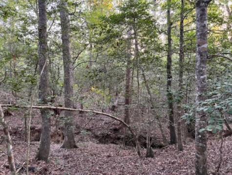 290 Red Hollow Livingston TX 77351